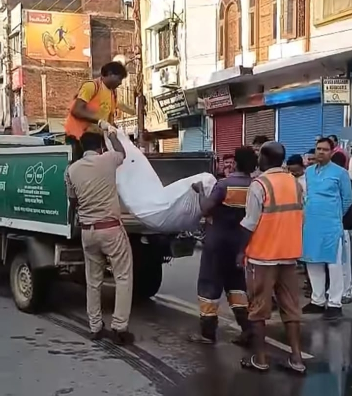 महराजगंज में दर्दनाक सड़क हादसा: ट्रकों की चपेट में आने से वृद्ध महिला की मौत।